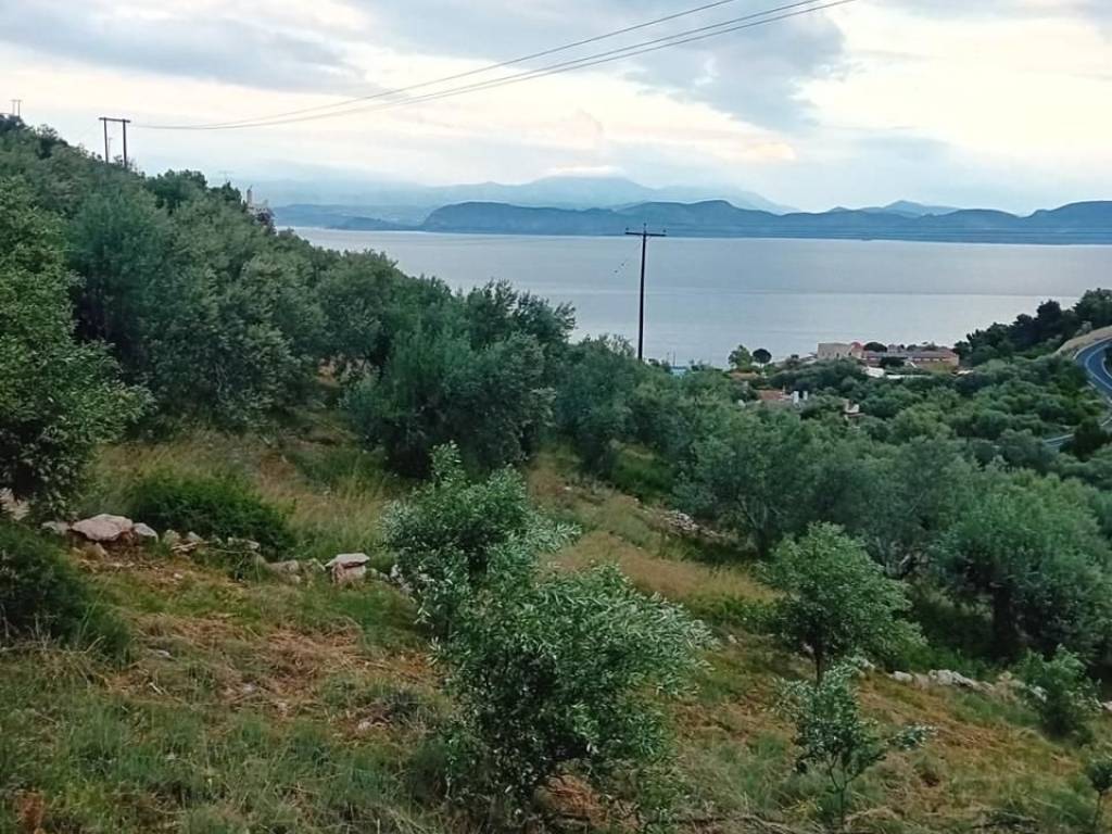 Unique plot, even and buildable