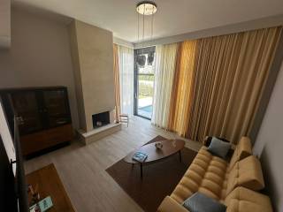 Living room with fireplace