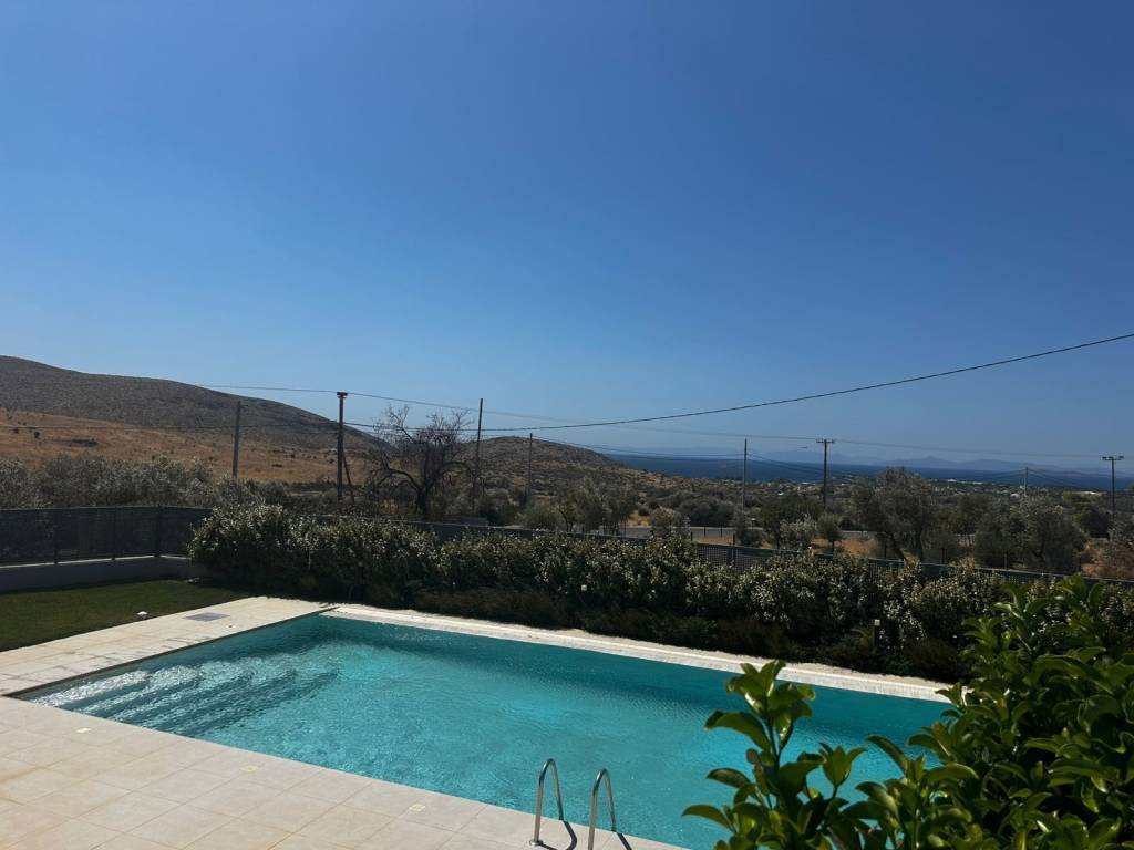 A shared 20-meter pool for 12 houses