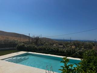 A shared 20-meter pool for 12 houses