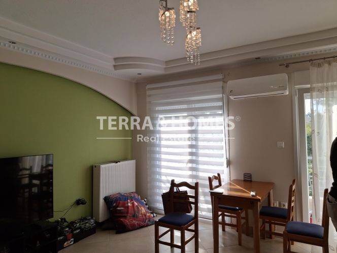 Σαλοκουζίνα