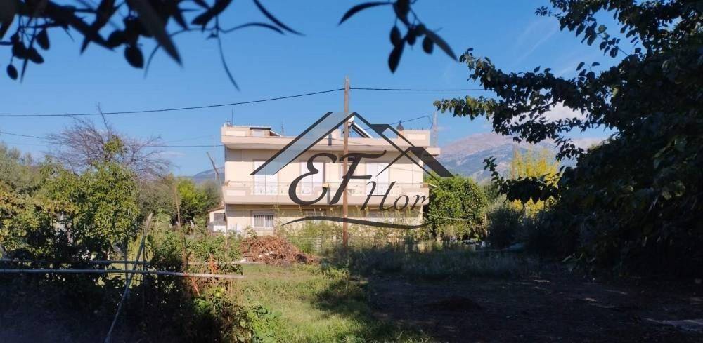 Άποψη οικοπέδου