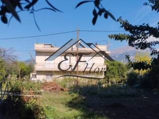 Άποψη οικοπέδου