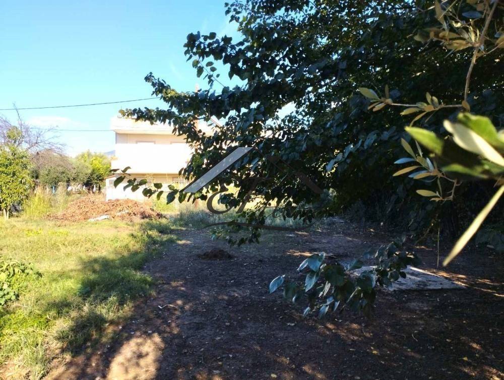 Άποψη οικοπέδου