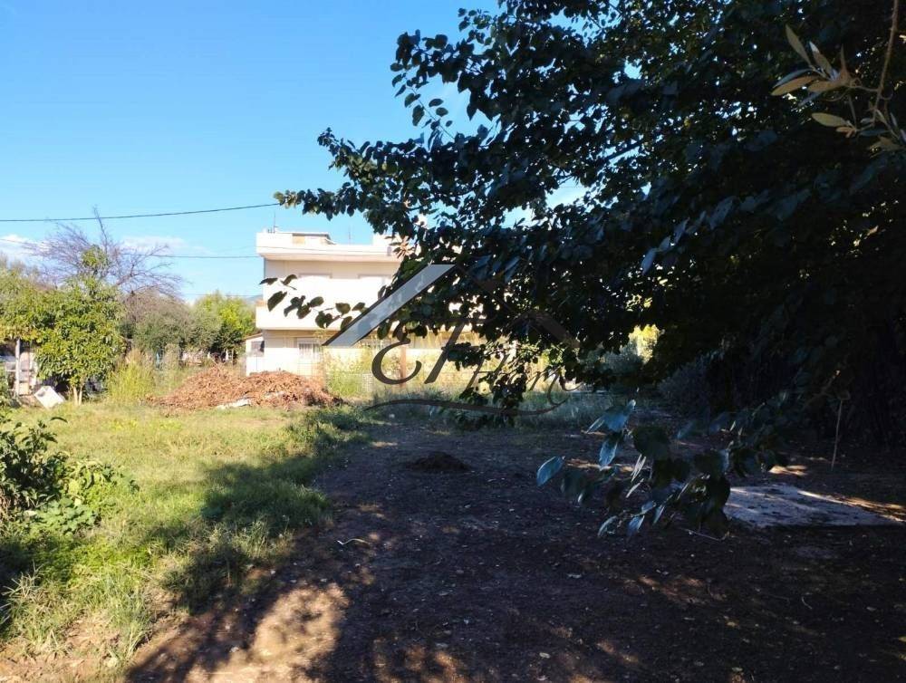 Άποψη οικοπέδου