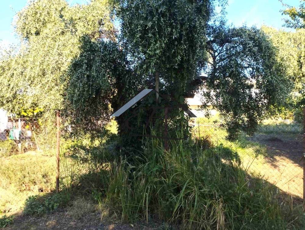 Άποψη οικοπέδου