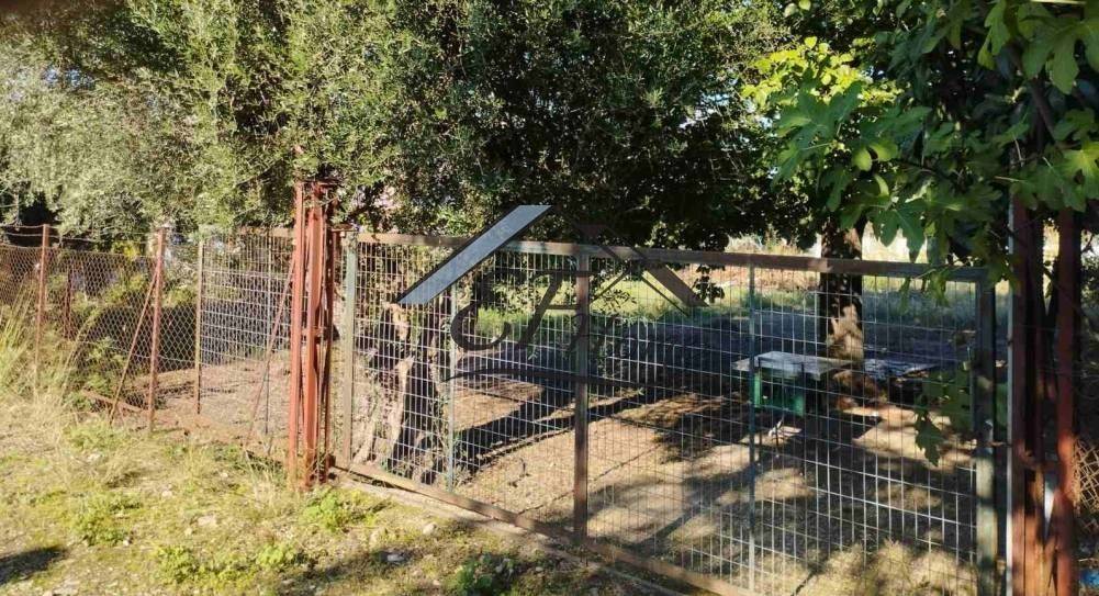 Άποψη οικοπέδου