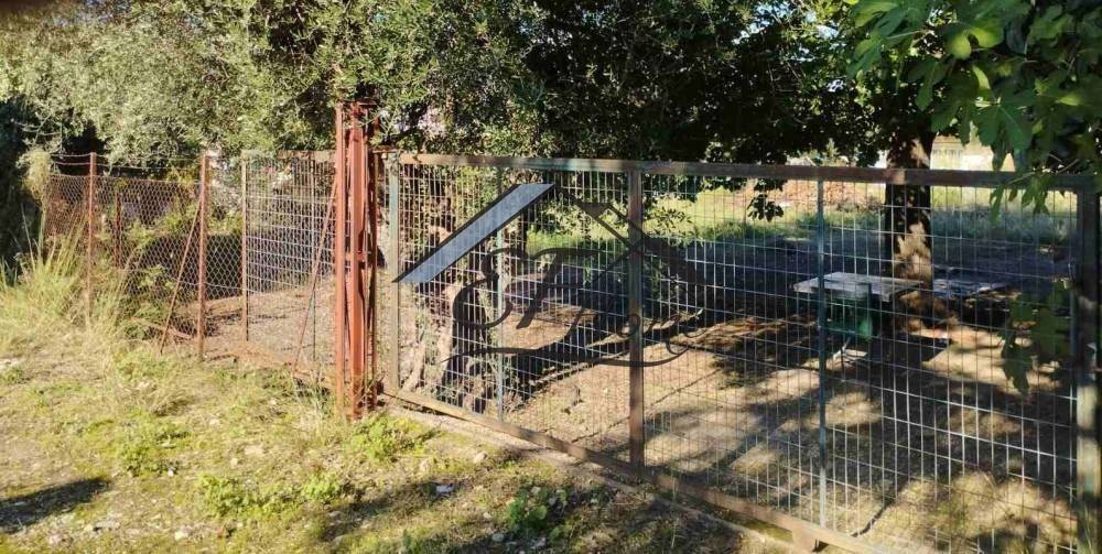 Άποψη οικοπέδου