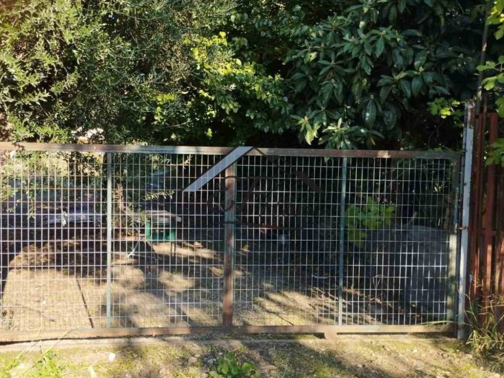 Άποψη οικοπέδου