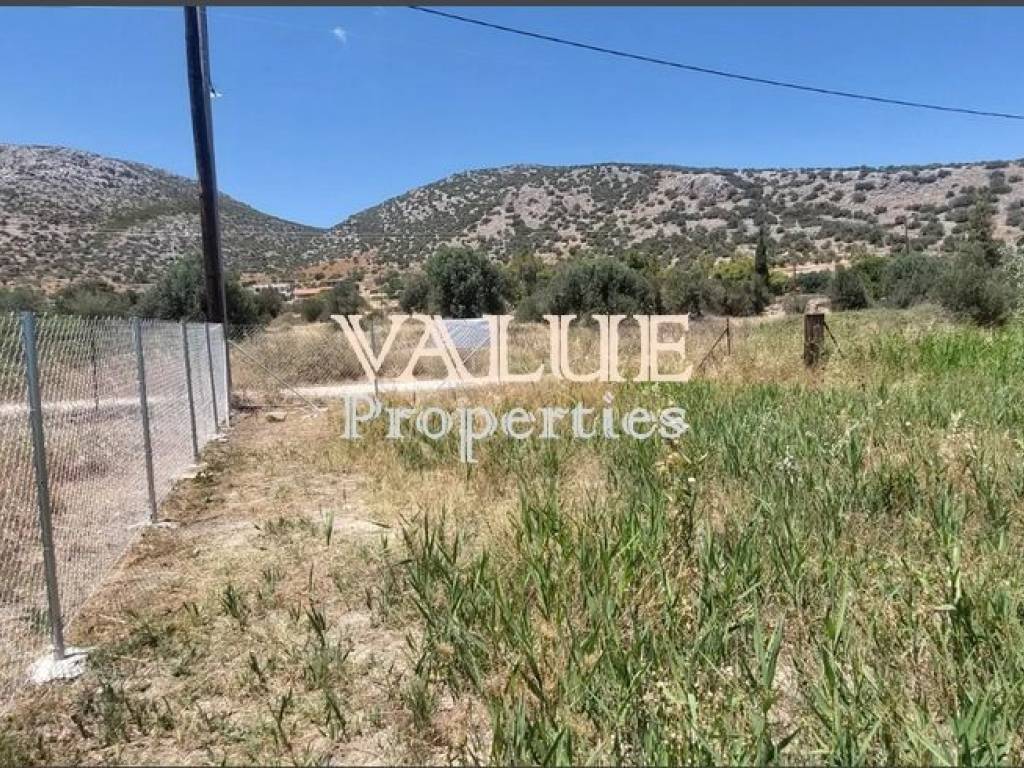 Εξωτερικοι χώροι