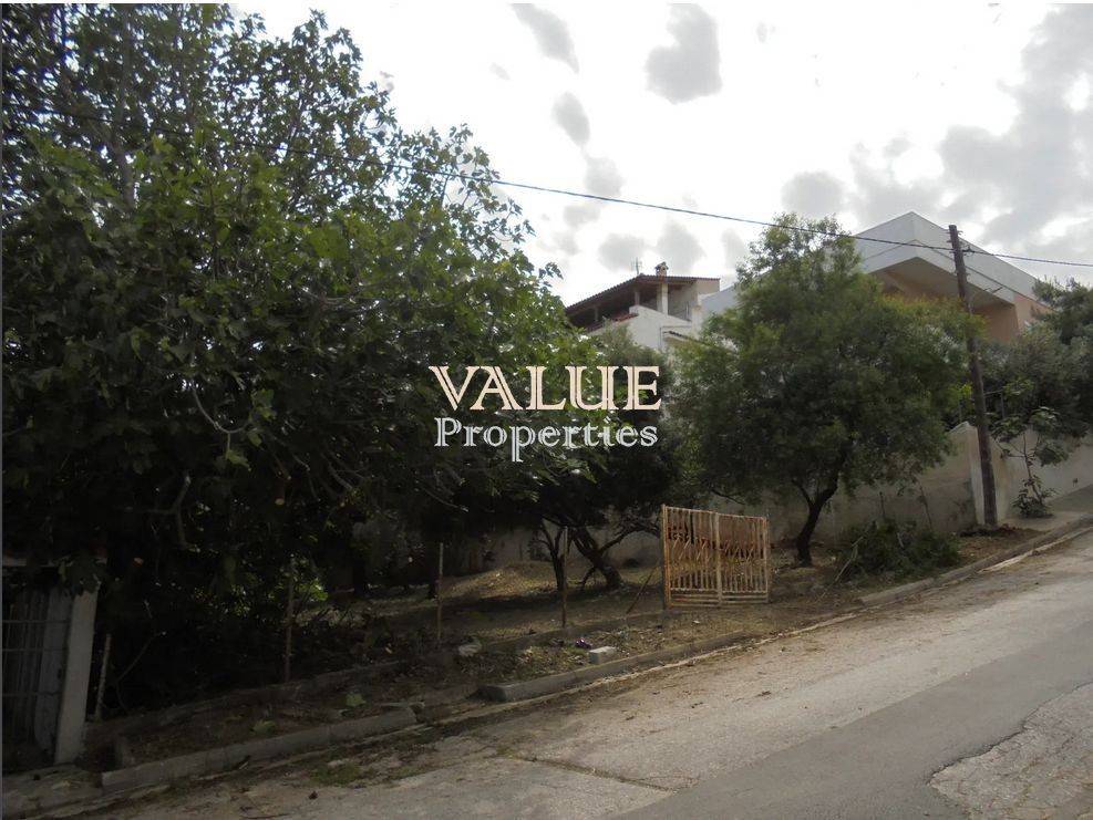 Εξωτερικοι χώροι