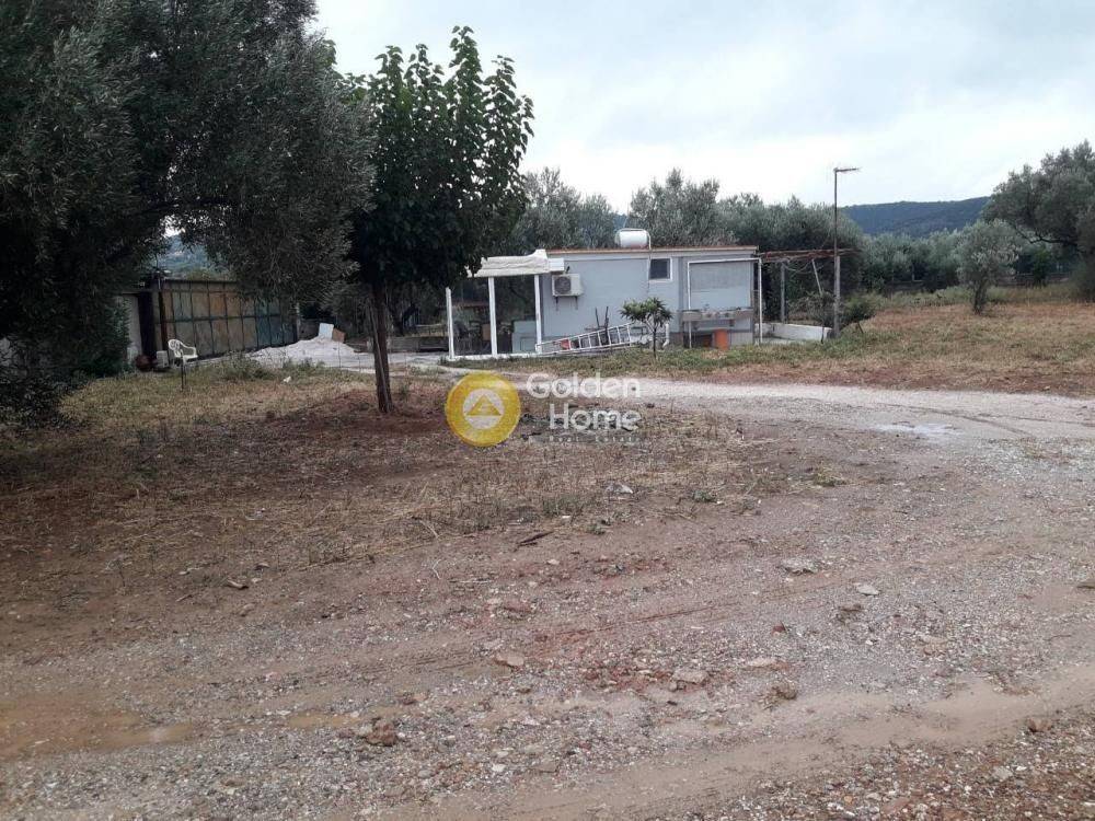 Εξωτερικός Χώρος