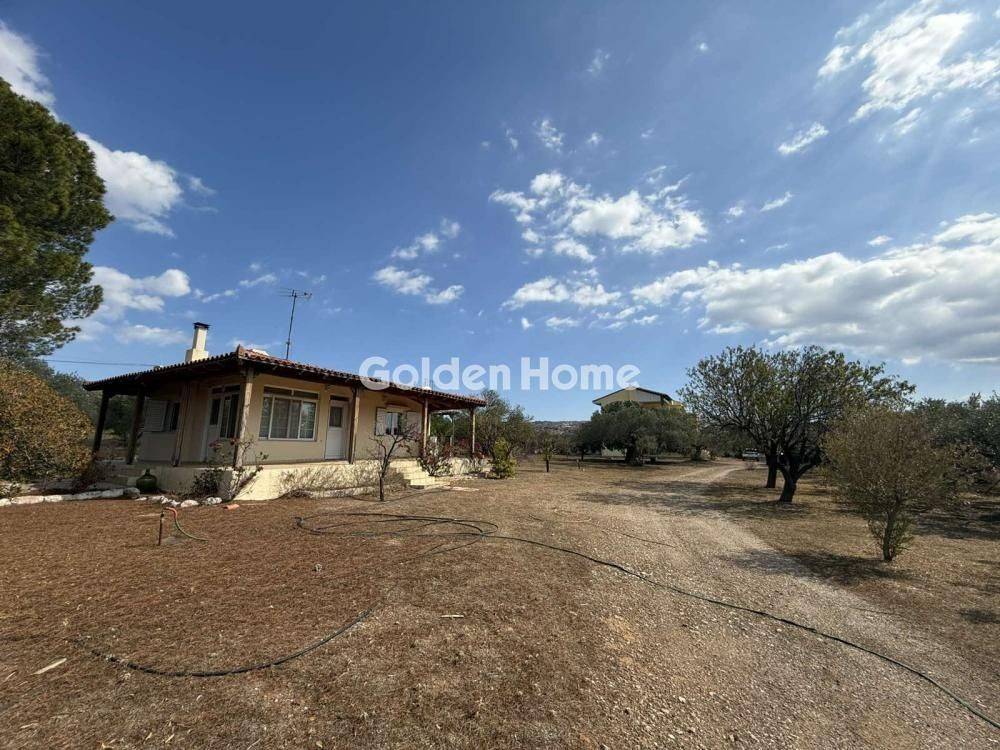 Εξωτερικός Χώρος