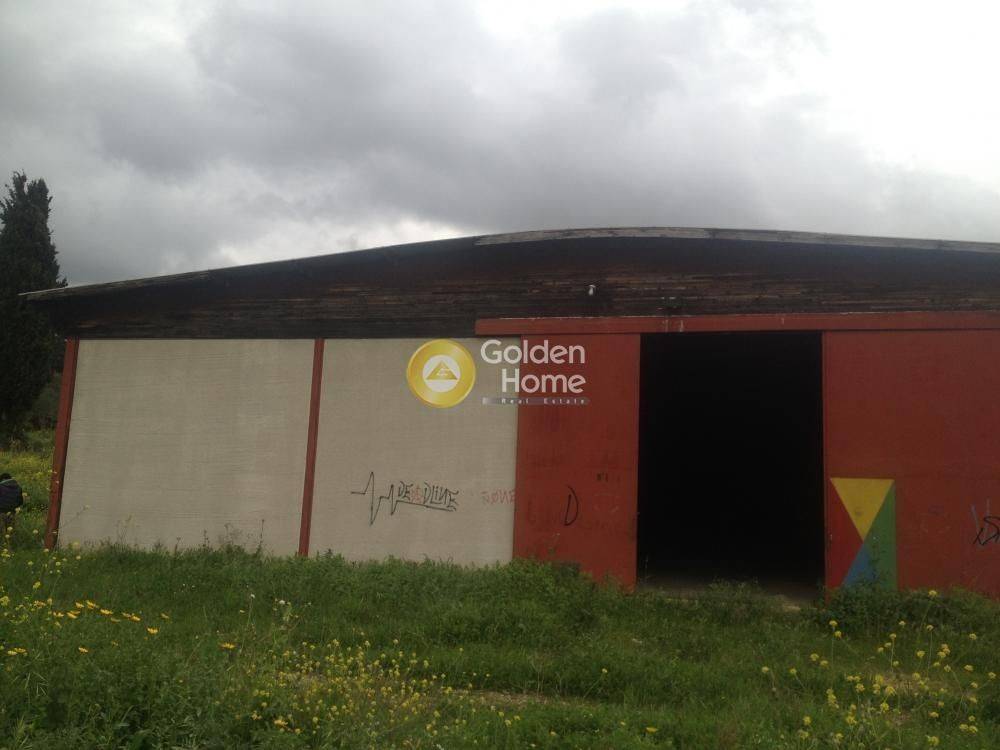 Εξωτερικός Χώρος