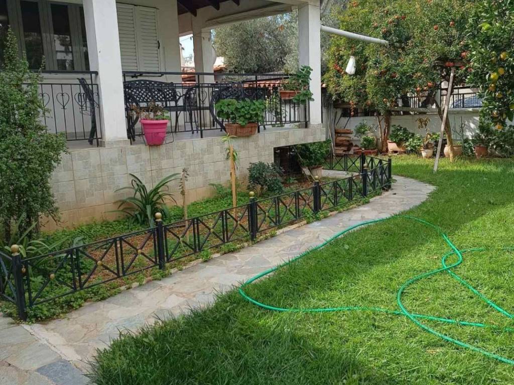 gkazon idiotikoy kepoy