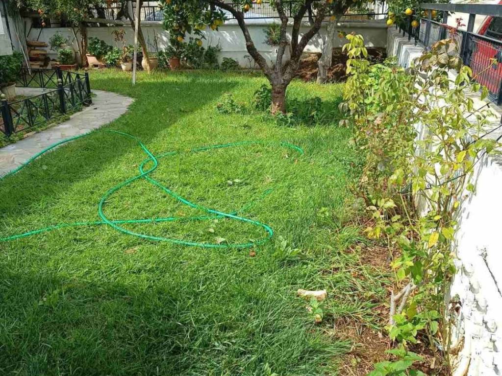 idiotikos kepos -gkazon -dendra