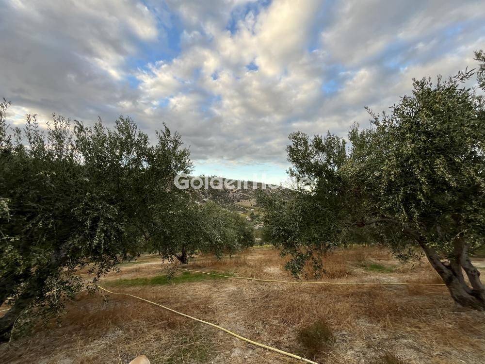 Εξωτερικός Χώρος