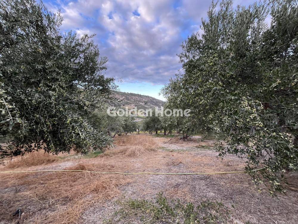 Εξωτερικός Χώρος