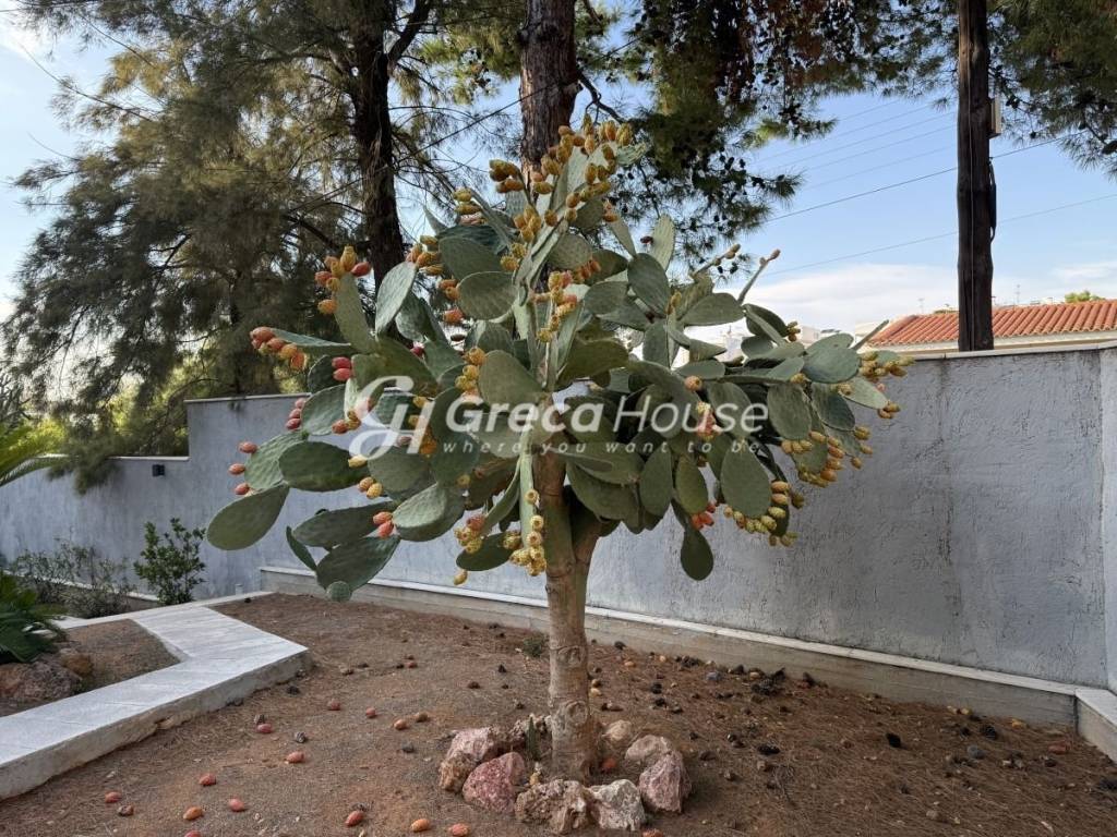 Mεζονέτα προς πώληση Κάτο Βούλα