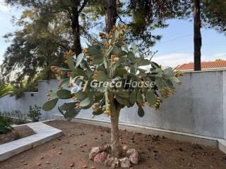 Mεζονέτα προς πώληση Κάτο Βούλα