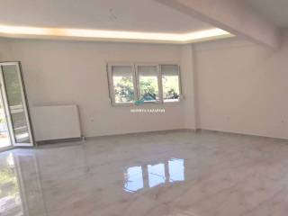 Σαλοκουζίνα