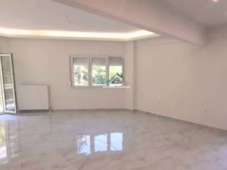 Σαλοκουζίνα