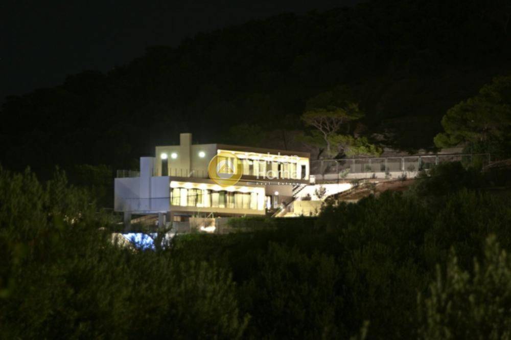 Ανελκυστήρας