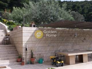 Ανελκυστήρας