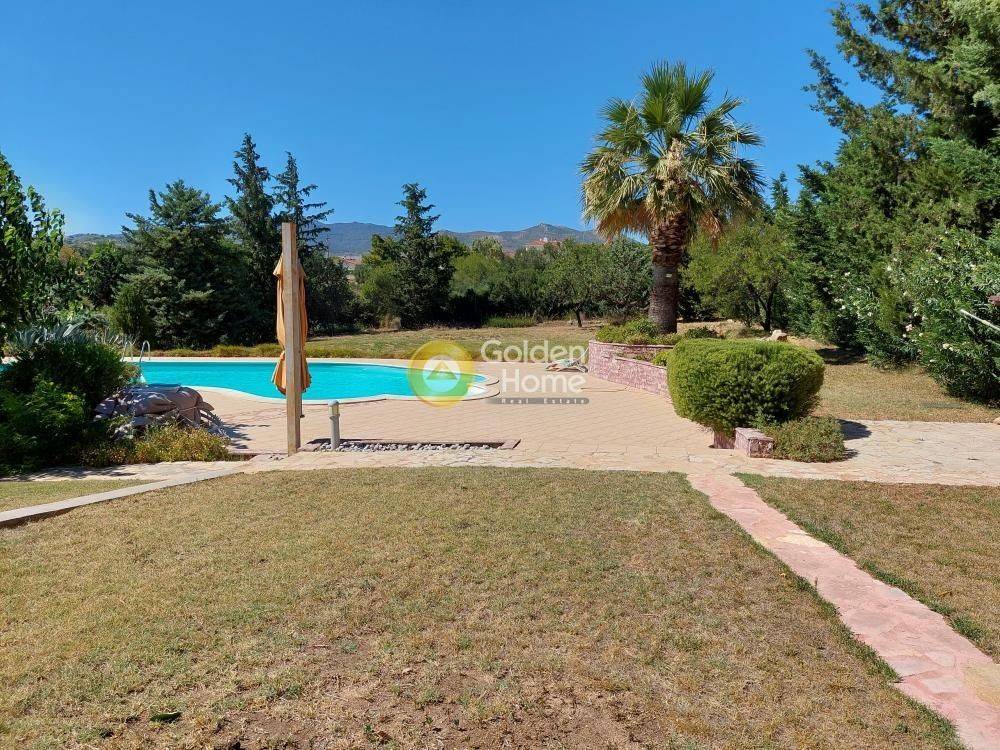 Ανελκυστήρας