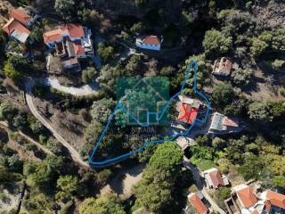 Ύπαρξη ανθρώπου