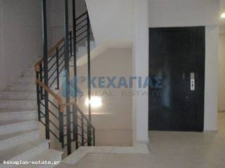 ΣΚΑΛΕΣ ΑΣΑΝΣΕΡ