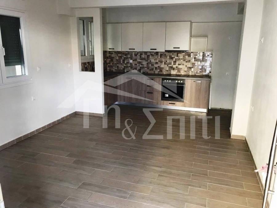 Σαλοκουζίνα