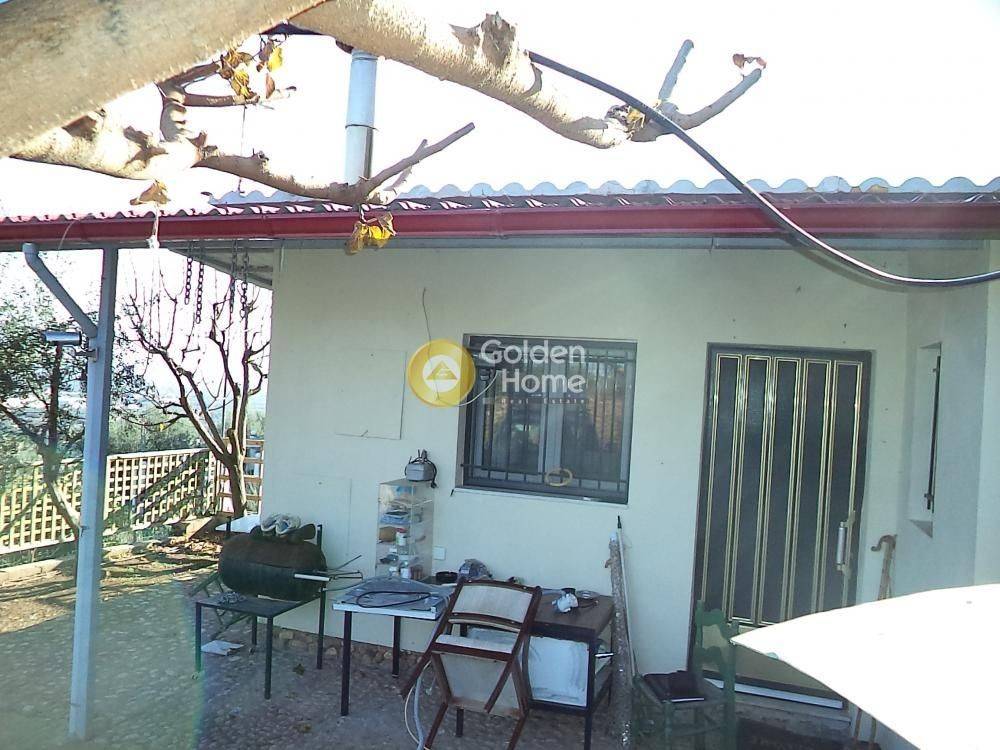 Εξωτερικός Χώρος