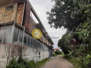 Ανελκυστήρας