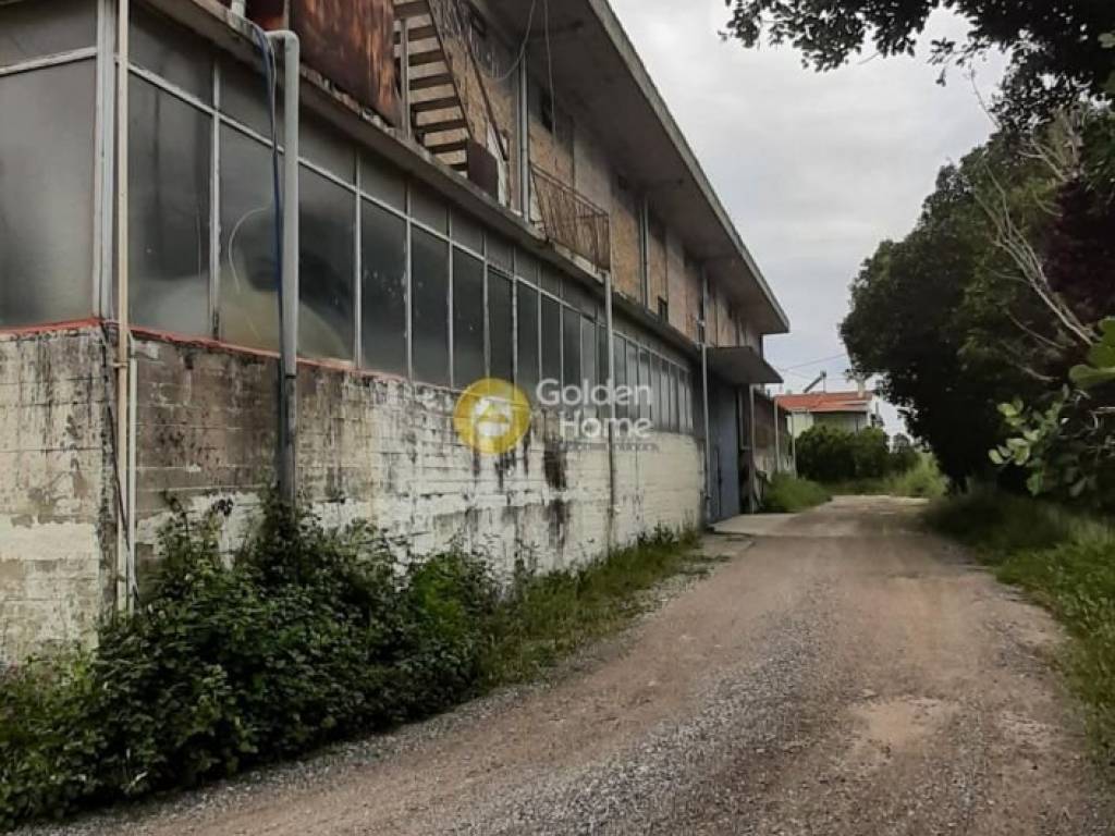 Ανελκυστήρας