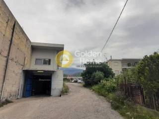 Κυρίως Χώρος