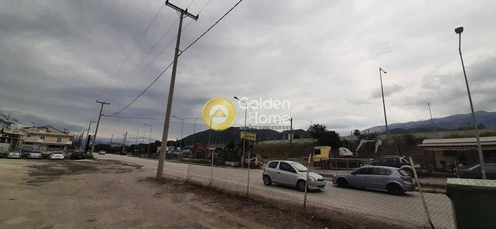 Κυρίως Χώρος