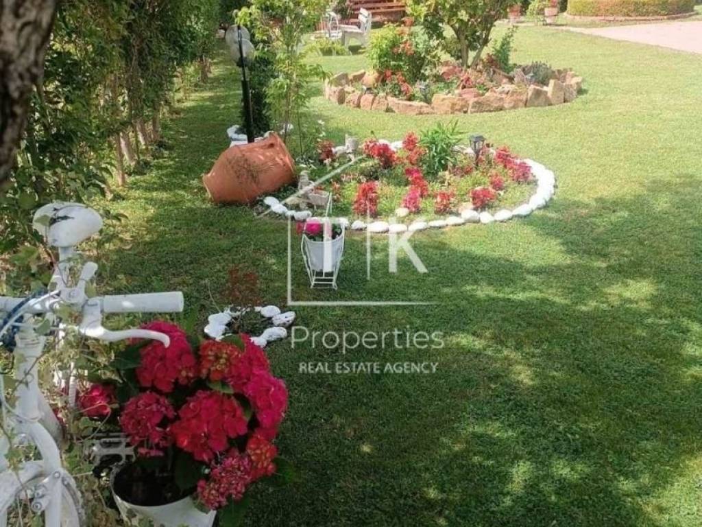 Ύπαρξη ανθρώπου