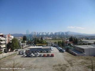 ΠΑΝΟΡΑΜΙΚΗ ΑΝΟΙΧΤΩΣΙΑ ΘΕΑ