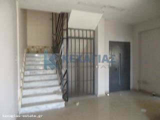 ΕΙΣΟΔΟΣ ΕΣΩΤΕΡΙΚΕΣ ΣΚΑΛΕΣ ΑΣΑΝΣΕΡ