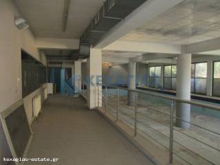 ΠΙΣΙΝΑ ΔΙΑΣΤΑΣΕΩΝ 20m X 8m