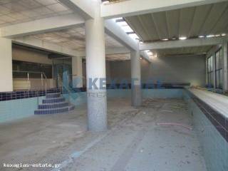 PISINA DIASTASEON 20m X 8m