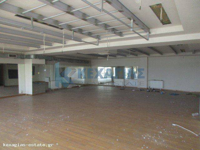 AITHOYSES OMADIKON PROGRAMMATON