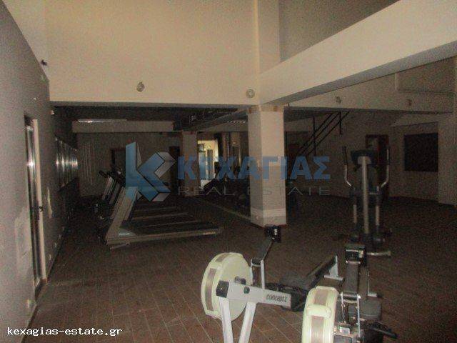 AITHOYSES OMADIKON PROGRAMMATON