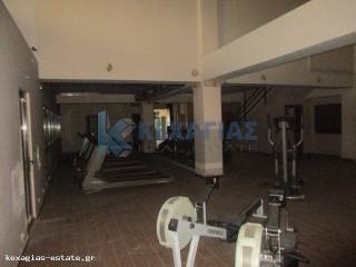 AITHOYSES OMADIKON PROGRAMMATON