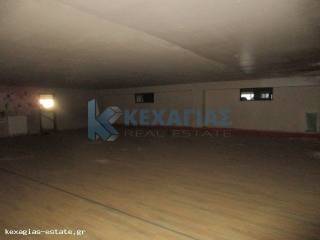 AITHOYSES OMADIKON PROGRAMMATON