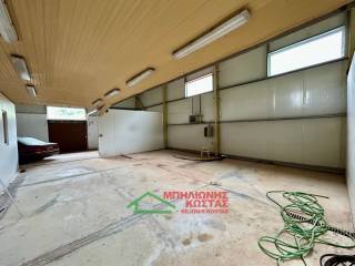 kyrios paragogikos choros