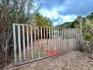 eisodos agrotemachioy