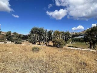 Αγροτεμάχιο