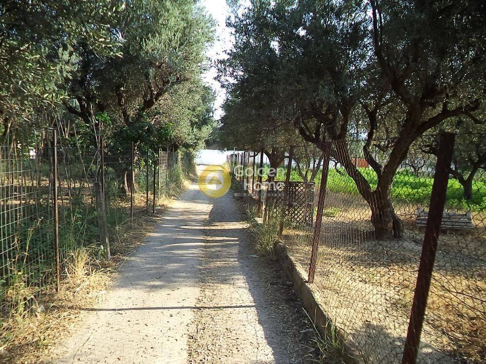 Εξωτερικός Χώρος